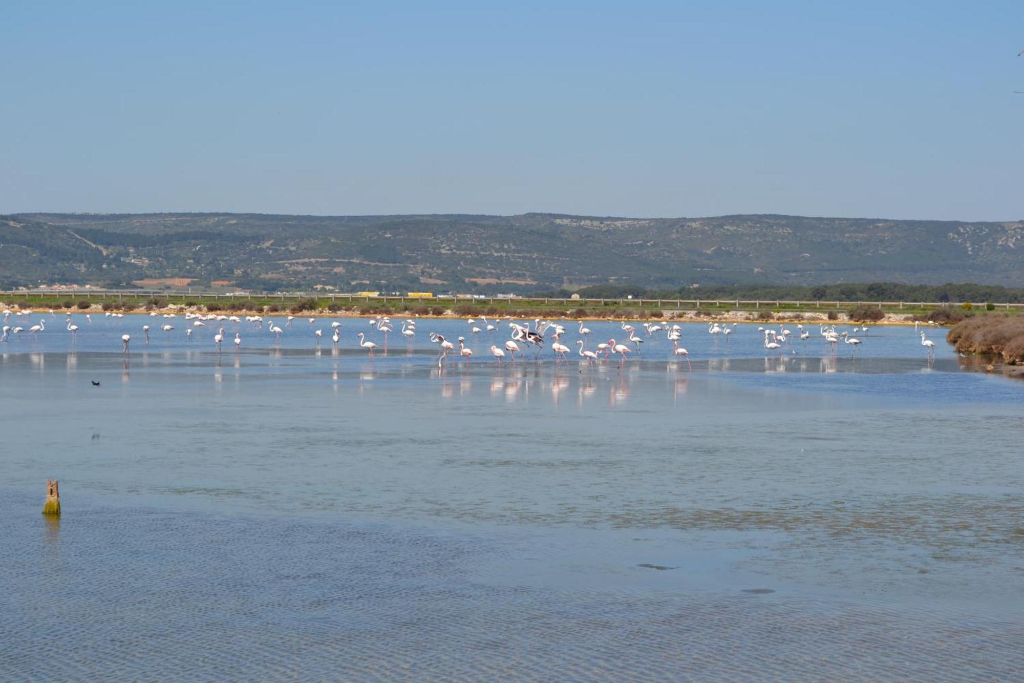 L'Aigrette Bleue Apartment Frontignan Luaran gambar